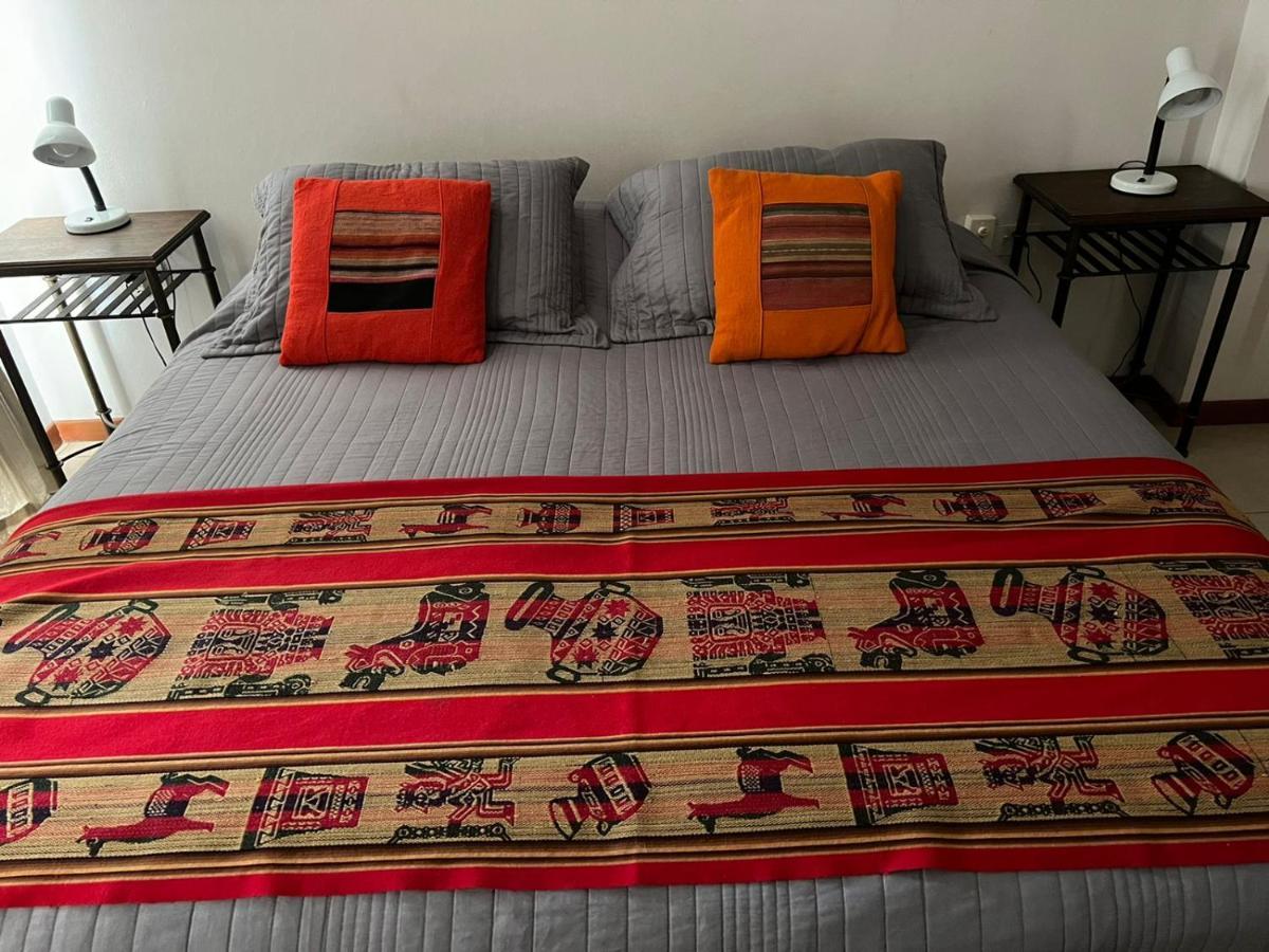 Carol 1 Apartment Salta
